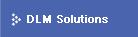 dlm solutions