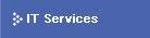 IT services