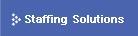Staffing Solution